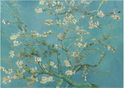 Puzzle Mandelblüte XL 700 Teile ANATOLIAN