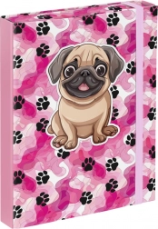 Mappen für Schulhefte A5 - Pfoten