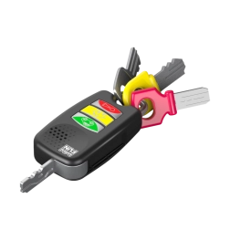 Meine ersten Schlüssel mit Sound für Kinder