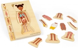 Bigjigs Toys Holzpuzzle Anatomie – Mädchen