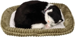 Interaktive atmende schwarz-weiße Katze