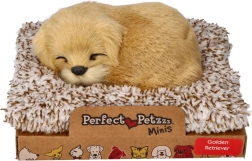 Bellender Golden Retriever auf seinem Körbchen