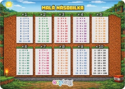 Lernkarte A4 – Kleines Einmaleins Playworld - 1 Stück