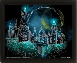 3D Bild HARRY POTTER – Hogwarts