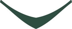 Dunkelgrünes Halstuch für Plüschtiere (dunkel)