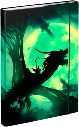 Sammelmappe A4 mit Drachenmotiv BAAGL