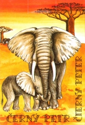 Schwarzer Peter - Kinderkarten Safari