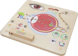 Masterkidz Edukative Seh-Tafel Montessori