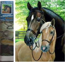 Norimpex Diamantmalerei – Pferde 30 × 40 cm