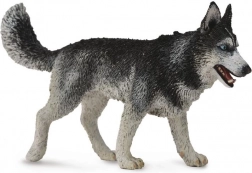 Collecta Sibirischer Husky – Figur