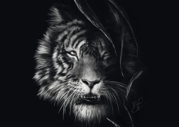 Schmidt Puzzle Wildheit des Tigers – Verkörperung der Freiheit 1000 Teile