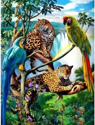 Norimpex Diamantmalerei Papageien und Leoparden 30x40 cm