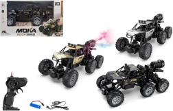 Ferngesteuertes Auto mit Ladegerät