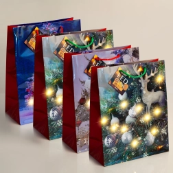 LED-Geschenktüte mit warmweißer Beleuchtung – 1 Stück