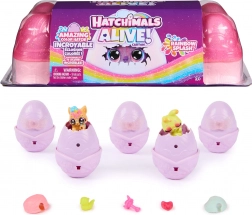 Hatchimals Alive Rainbow Splash Set mit 5 Figuren in Eiern mit Zubehör