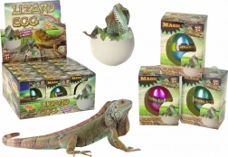 Magisches schlüpfendes Ei – wachsende Eidechse 6 cm