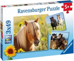 Ravensburger Puzzle Süße Pferde 3×49 Teile