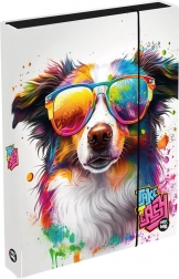 Heftbox A4 Jumbo mit Hund