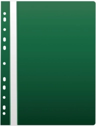 Schnellhefter A4 mit Eurolochung, PP, grün