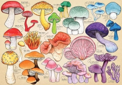 Puzzle Pilzwahnsinn 1000 Teile