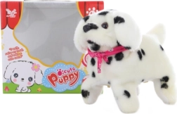 Gehender Dalmatiner-Welpe mit Saltos