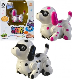 Hund fährt auf gemalter Linie