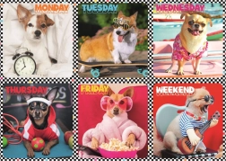 Puzzle 200 Teile – fröhliche Hunde – Trefl