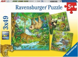 RAVENSBURGER Puzzle Tiere im Dschungel 3×49 Teile