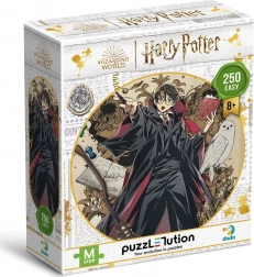 Puzzle DODO Harry Potter: Junger Zauberer 250 Teile