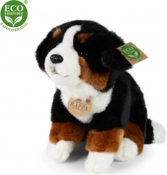 Plüsch‑Berner Sennenhund 25 cm – RAPPA (umweltfreundlich)