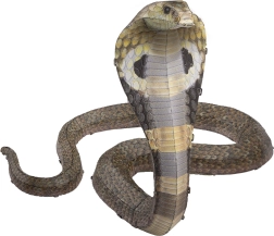 Metall-3D-Puzzle COBRA – Bausatz METAL EARTH