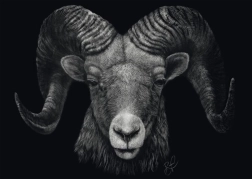 Puzzle Dominanz Widder: Verkörperung des Feuers 1000 Teile SCHMIDT