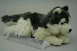 Plüsch-Husky-Hund 35 cm