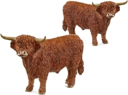 Stier aus dem Hochland