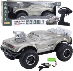 Großes RC-Geländesportauto 1:8, silber