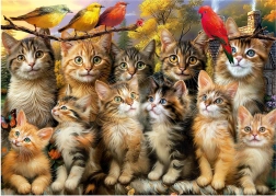 Puzzle Katzen und Vögel 500 Teile