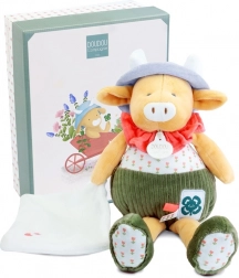 Doudou Geschenkset Küken Aneth mit Decke grün 28 cm