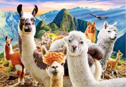Puzzle 200 Teile Llamas Selfie