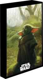 Leuchtendes LED-Bild 30 × 40 cm STAR WARS