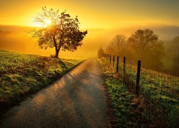 Ravensburger Puzzle Morgen in goldenen Strahlen 1000 Teile