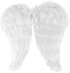 Engelsflügel mit Federn