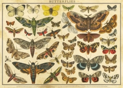 Puzzle Vintage Nature: Schmetterlinge 2000 Teile