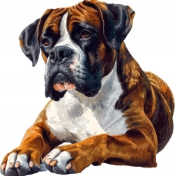 Diamantmalerei Boxer 30 × 40 cm
