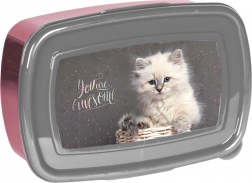 Paso Snackbox mit Kätzchen 750 ml