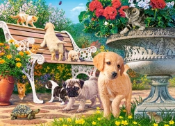 Puzzle mit 100 Teilen Hide and Seek