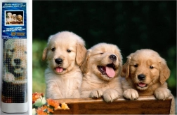 Diamantmosaik – Drei Hunde