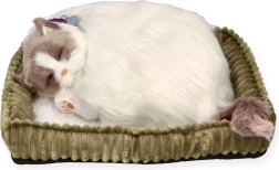 Atmende Ragdoll-Katze Perfect Petzz