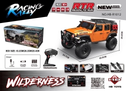 RC-Auto mit Fernsteuerung WILDERNESS RTR 1:10 orange