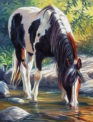 Diamantmalerei Pferd im Fluss 30x40 cm