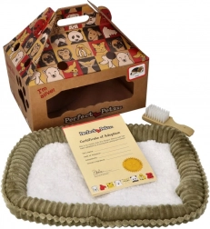 Plüsch-Pomeranian zur Adoption